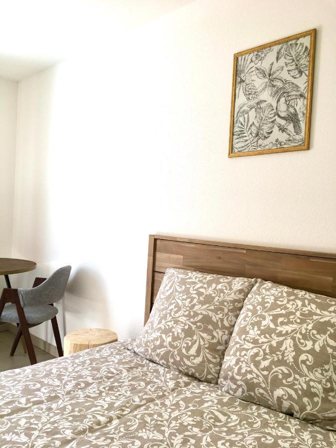 Appartement En Face Hopital Nord Avec Terrasse Saint-Priest-en-Jarez